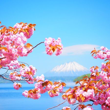 Hotel Cocoa - Vacation Stay 29916V 丰浦町 外观 照片